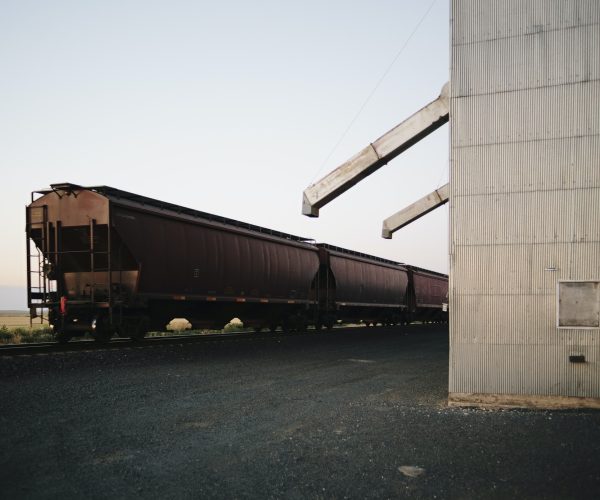 A freight train at a station in a rural landscape.