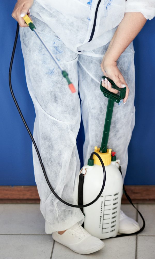 Pest control, disinfection and biohazard with woman and fumigator for sanitary, home improvement a