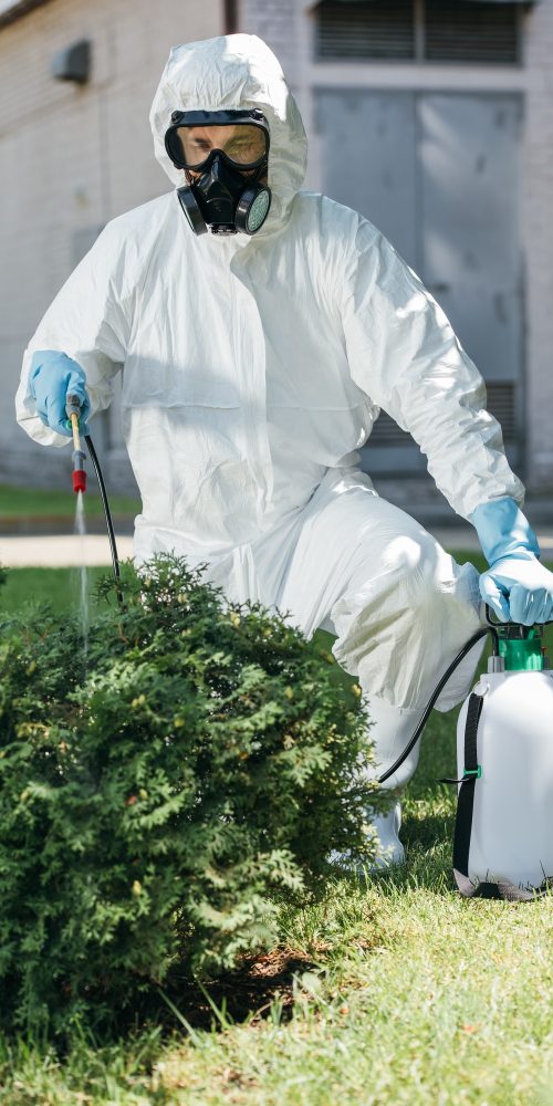 pest control worker in uniform spraying pesticides on bush